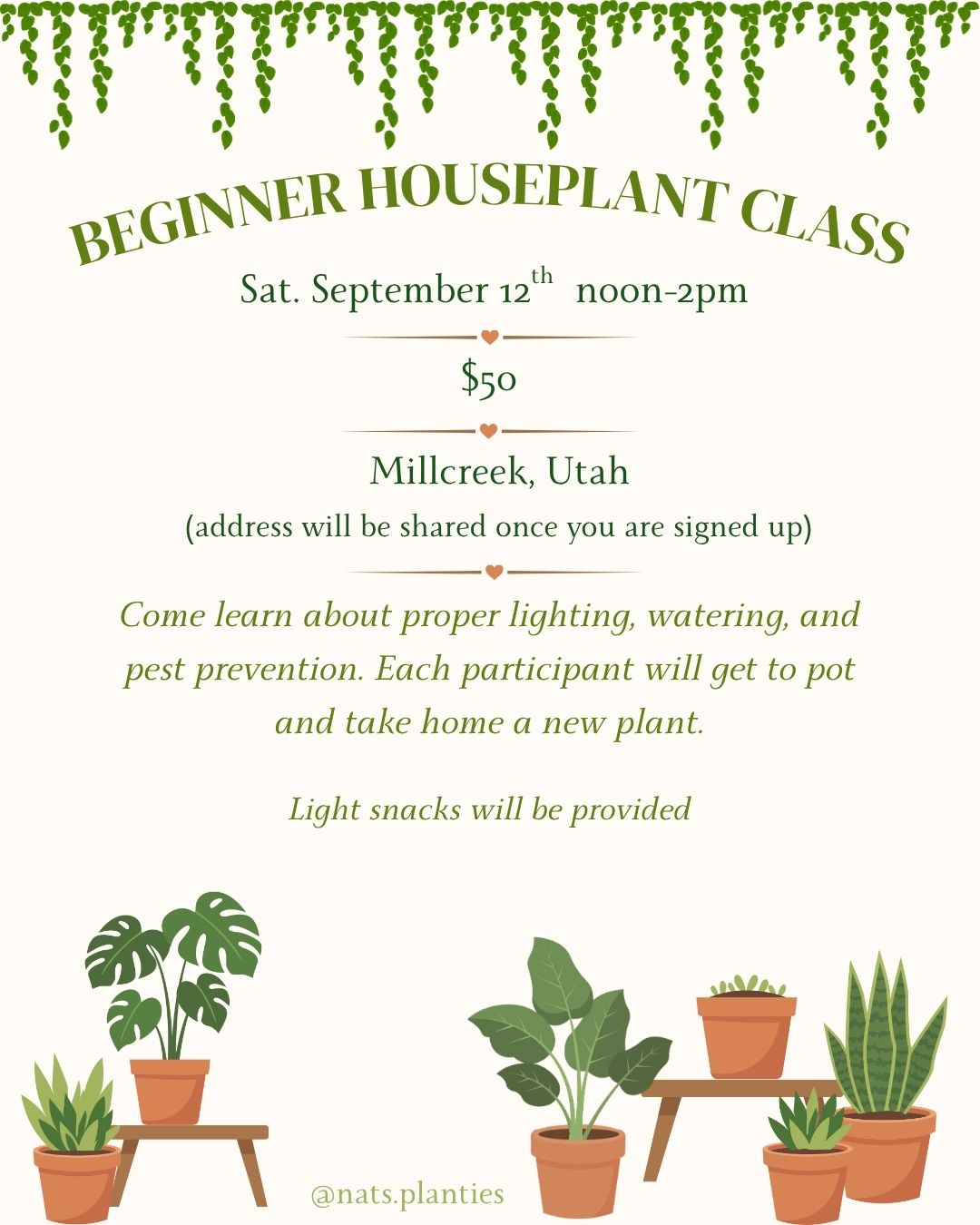 Beginner Houseplant Class